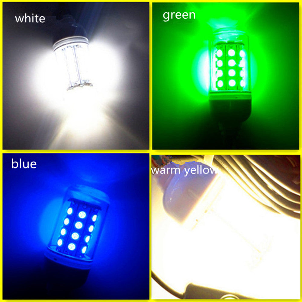 Underwater Fishing Light (12V LED Waterproof Ip68) to Lure & Assist Visibility
